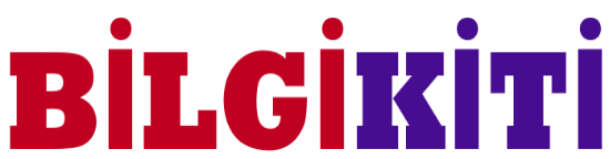 Bilgikiti
